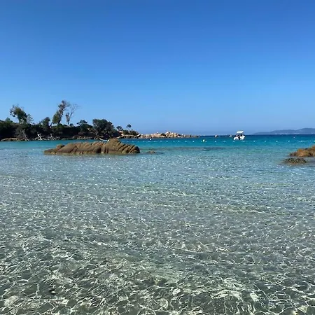 Petite Maison A 300 M De La *